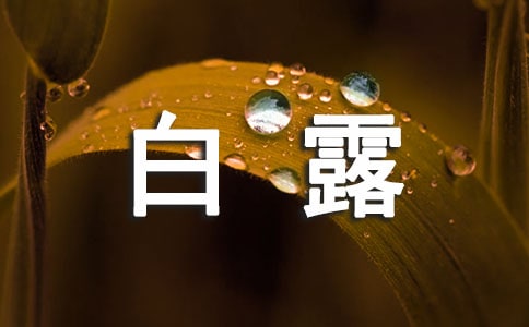 白露时节祝福语