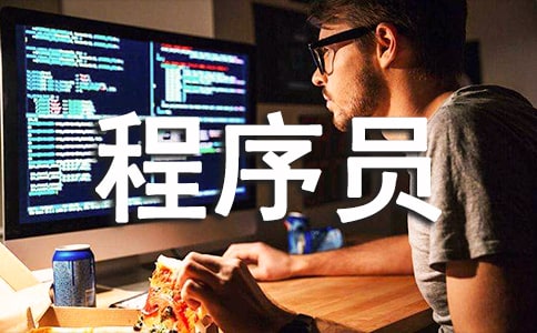 企业程序员工作计划个人