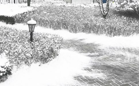 冬季问候语暖心