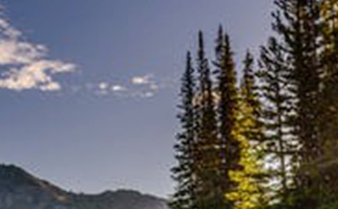 风景与人生感悟句子