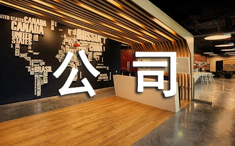 公司业务员个人工作总结