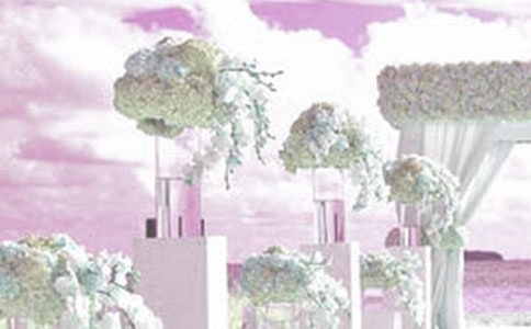 创意婚礼策划方案【实用】