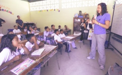 科学教学工作总结