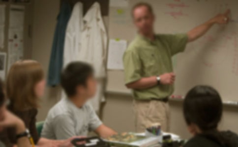 体育老师年度工作计划