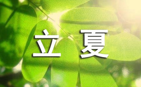 立夏的祝福语(实用)
