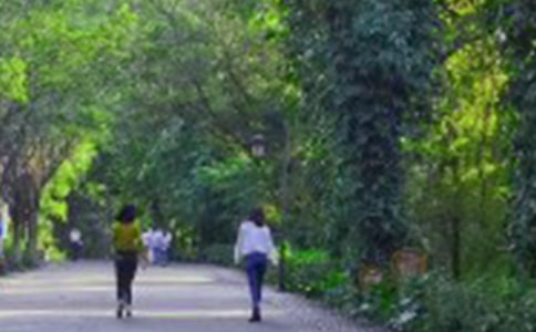 员工爬山活动策划方案