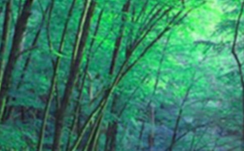 森林防火工作计划