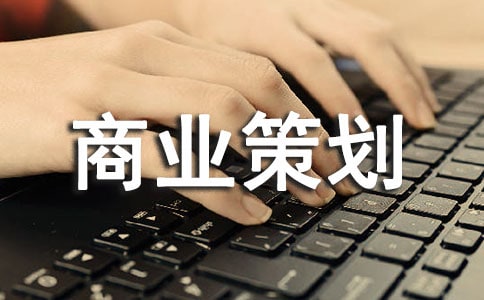 (推荐)商业策划书