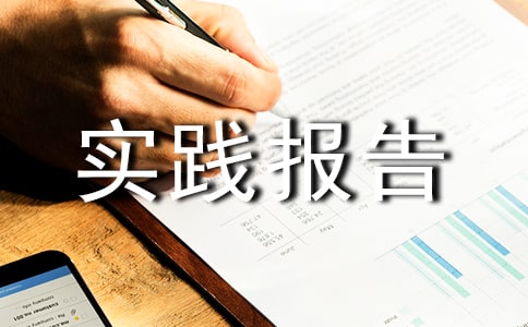高中生与社会实践报告范文