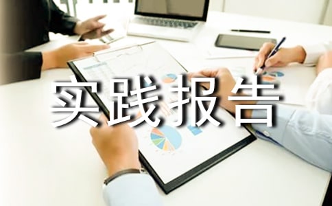村委会实践报告精品【15篇】