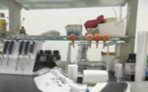 小学实验室工作计划通用【15篇】