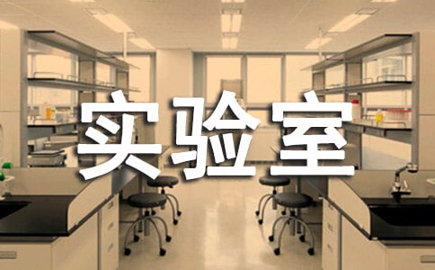 关于实验室工作计划锦集6篇