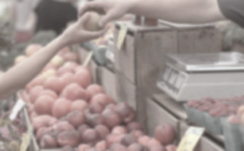 市场工作计划书