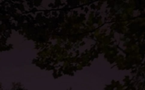 简洁的治愈系晚安QQ问候语合集44句