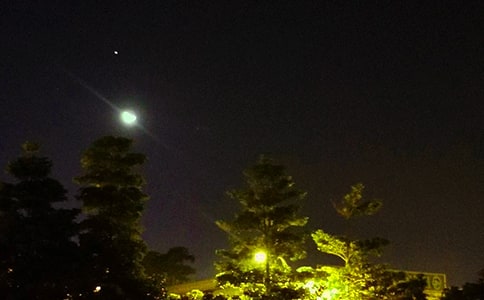 常用唯美晚安祝福语大全135句精选