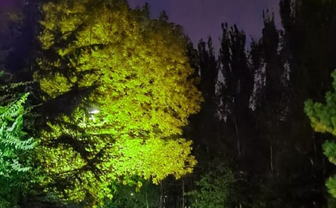 关于唯美晚安祝福语(通用135句)