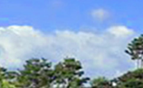 优美的午安问候语锦集77条