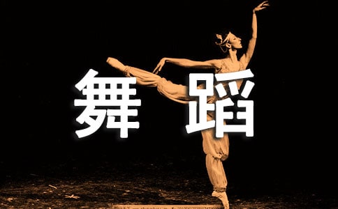 舞蹈老师个人工作计划(热)