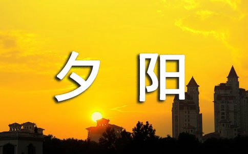 情系夕阳情活动策划书