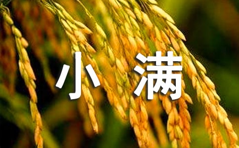 24节气小满祝福语
