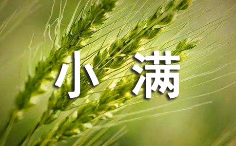 小满祝福语290句