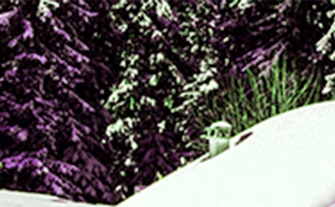 小雪的暖心祝福语