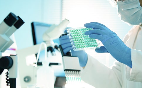 (热门)课题研究工作计划15篇