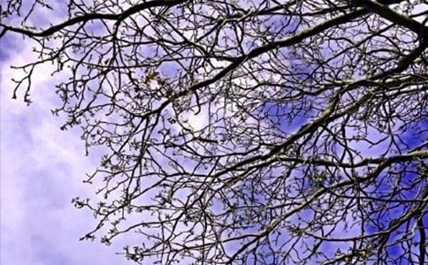 简短个性早安祝福语(精选100句)