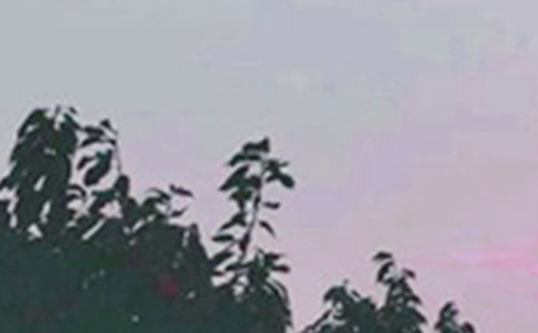 简短的早安微信问候语26句