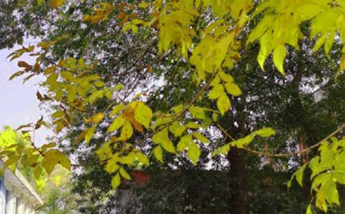 通用美好的早安祝福语短信33条