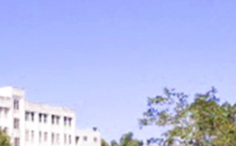 2024年简单的美好的早安祝福语语录32条