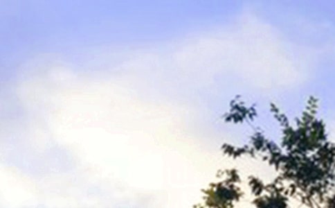 2024꾫ѡõ簲Ȧף22