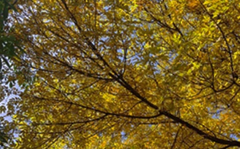 最新治愈早安祝福语35句精选