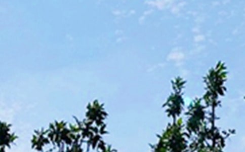 简短正能量早安祝福语45句精选