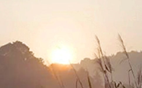 【精华】美好的早安祝福语语录43条