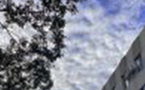 【必备】美好的早安祝福语语录38句