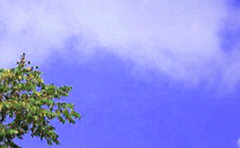 中午问候语14篇【热门】