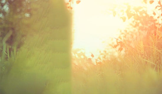 三月三经典唯美祝福语